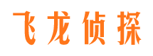 太平市侦探调查公司